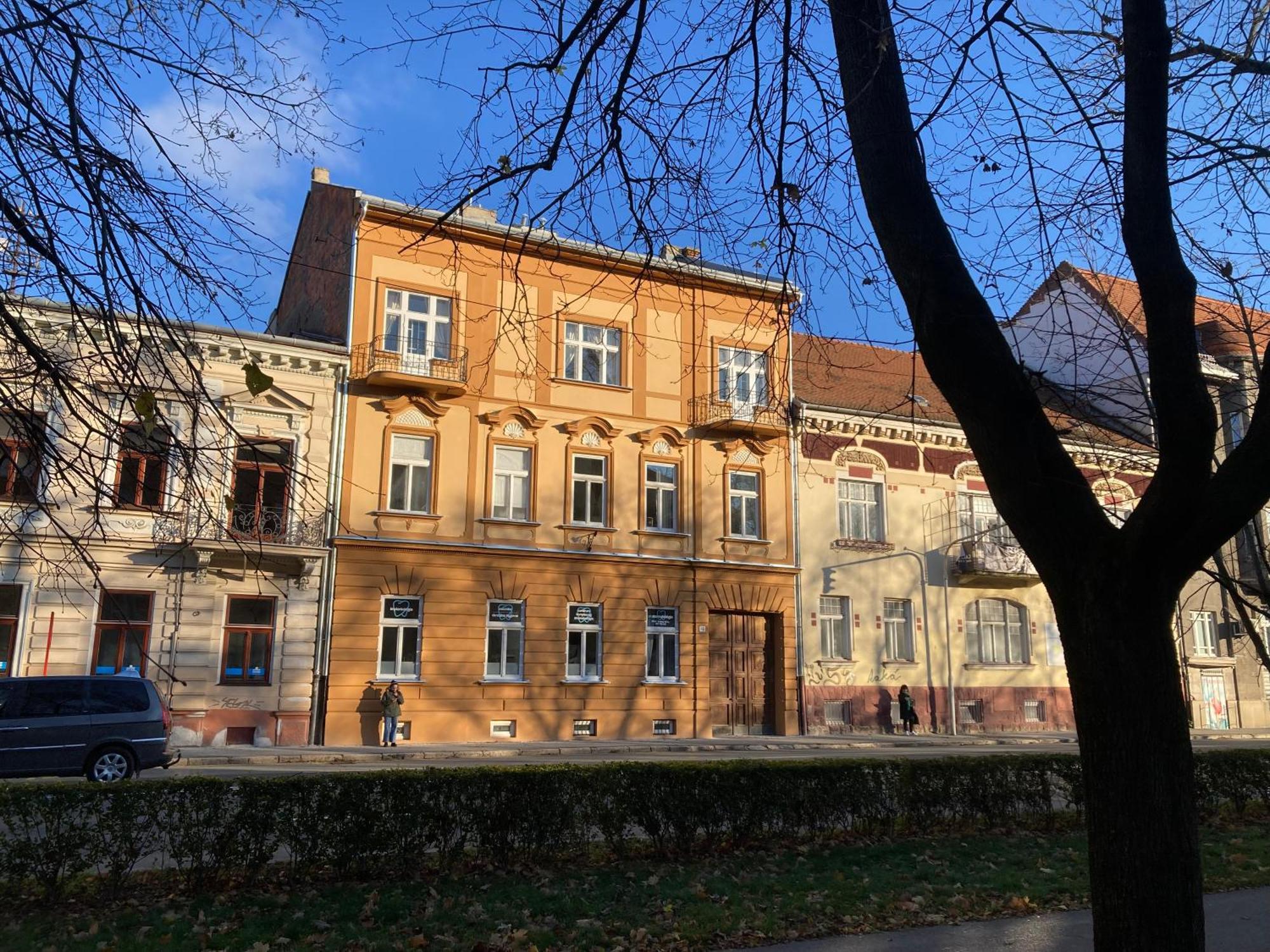 Moyzesova *