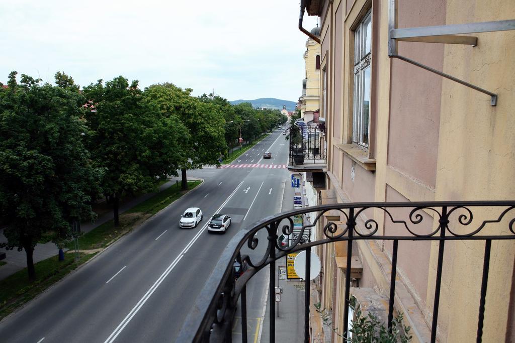 Moyzesova