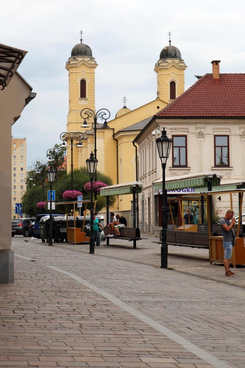 Moyzesova